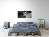 shutterstock_1131610931PDhTailFHjfAt_1280x1280.jpg