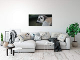 shutterstock_1131610931jCQhlXjbbJHvw_1280x1280.jpg