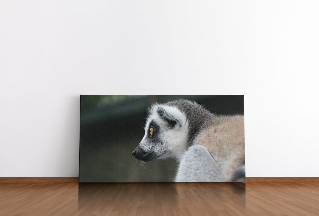 shutterstock_1131610931msLA0PsQuo8Lq_1280x1280.jpg