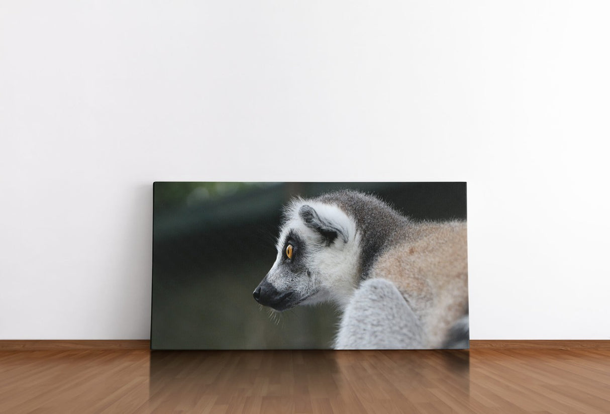 shutterstock_1131610931msLA0PsQuo8Lq_1280x1280.jpg