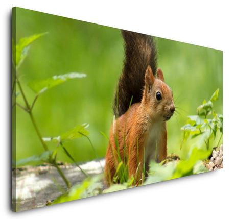 shutterstock_11320337455cbdfQyS5lFzf_1280x1280.jpg
