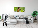 shutterstock_1132033745AZc4CxvqLorTc_1280x1280.jpg