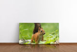 shutterstock_1132033745JeWbyy06eTHbw_1280x1280.jpg