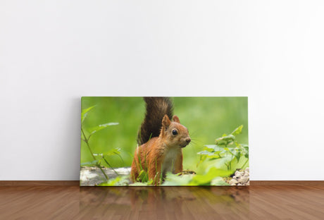 shutterstock_1132033745JeWbyy06eTHbw_1280x1280.jpg