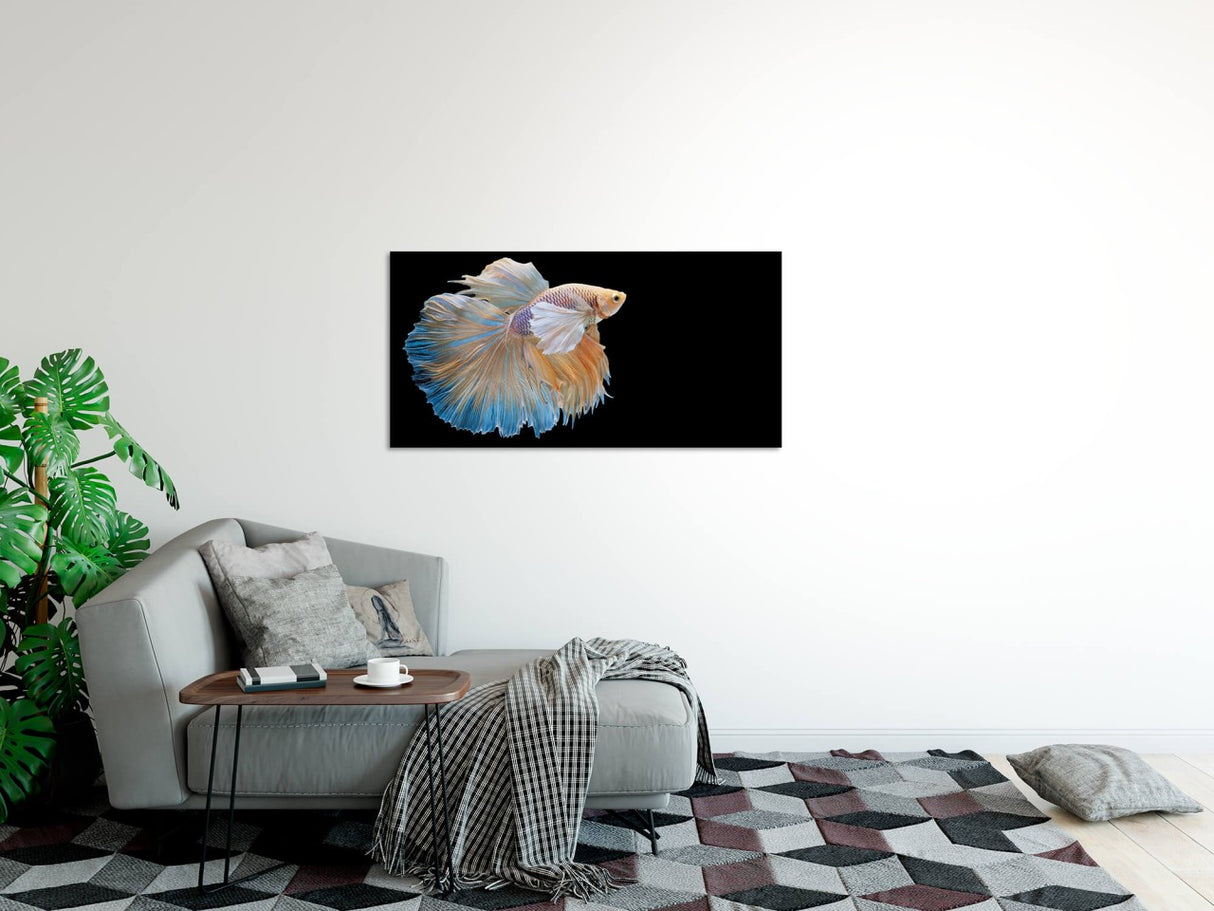 shutterstock_11362533448xR0BttUKmdT6_1280x1280.jpg
