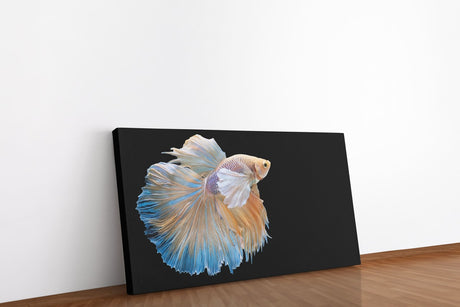shutterstock_1136253344ac4vCLYV43EUz_1280x1280.jpg