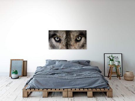 shutterstock_1140876704MpjYK3DzFp1O8_1280x1280.jpg