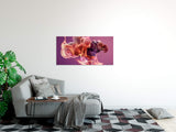 shutterstock_1141664165dIJhFMtu8pObt_1280x1280.jpg