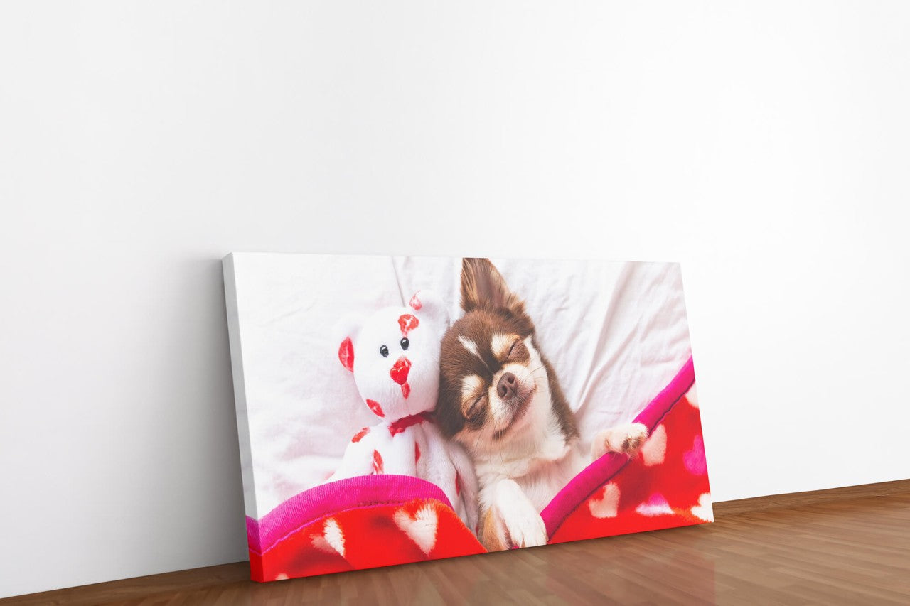 shutterstock_11545338499Ll5OuhL7fw9r_1280x1280.jpg
