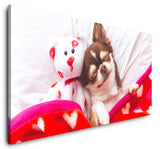 shutterstock_1154533849YYrtqhP7DEWy5_1280x1280.jpg