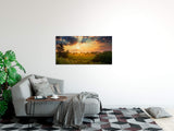 shutterstock_116983696pY96nCGv3MRmZ_1280x1280.jpg