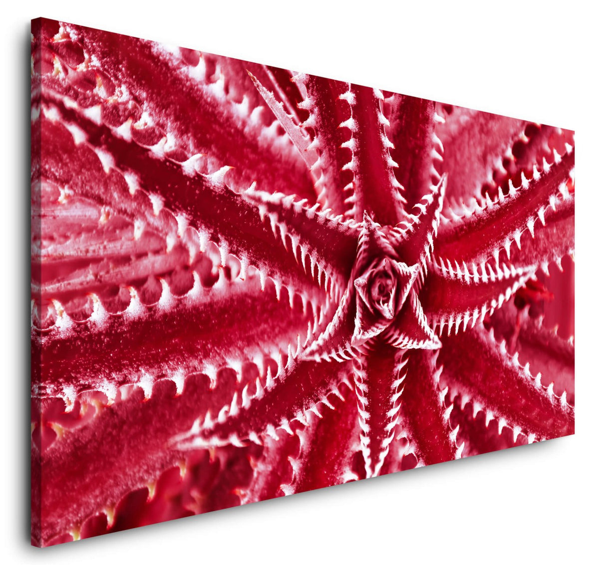 shutterstock_11860686767vyYzSyPG8JXB_1280x1280.jpg