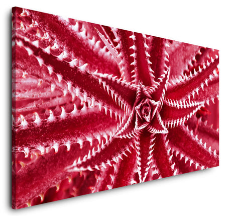 shutterstock_11860686767vyYzSyPG8JXB_1280x1280.jpg