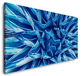 shutterstock_1186086919UDXR6YApMswax_1280x1280.jpg