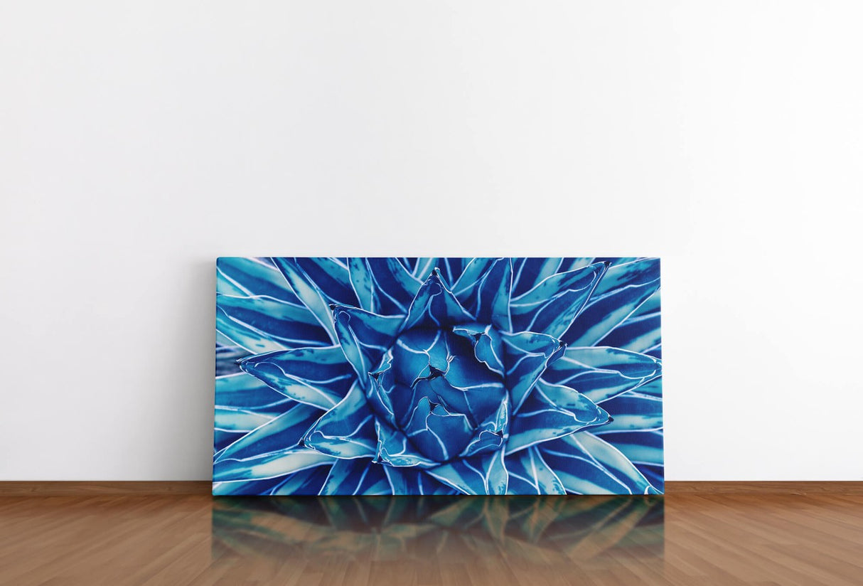 shutterstock_1186086919clnVOOHZLXhM4_1280x1280.jpg