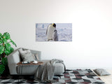 shutterstock_1212476698CRb9xUlJldhw5_1280x1280.jpg