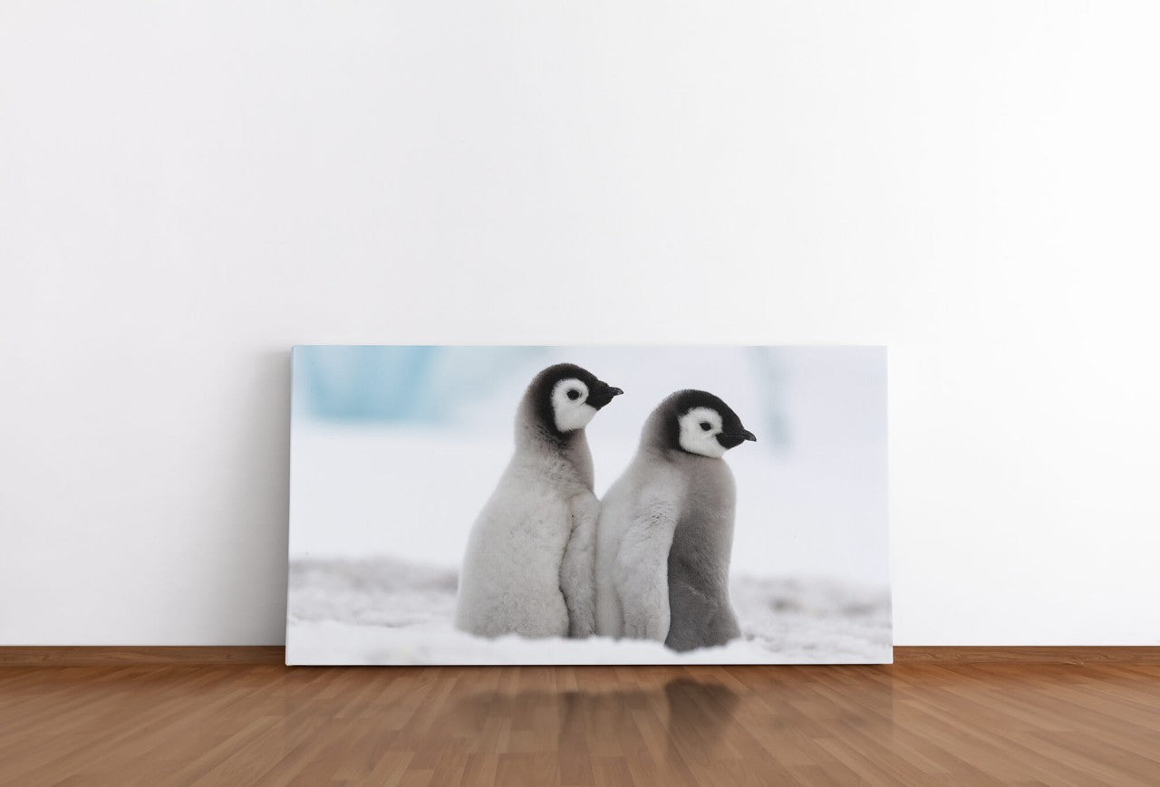shutterstock_1228000150amTcIknszPnqT_1280x1280.jpg
