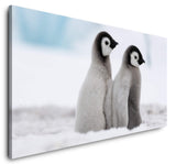 shutterstock_1228000150rPmAlqa6AfDtW_1280x1280.jpg