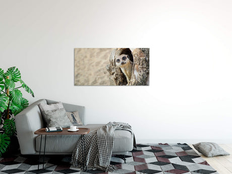 shutterstock_1238361604AbxlOwVOoQcJs_1280x1280.jpg