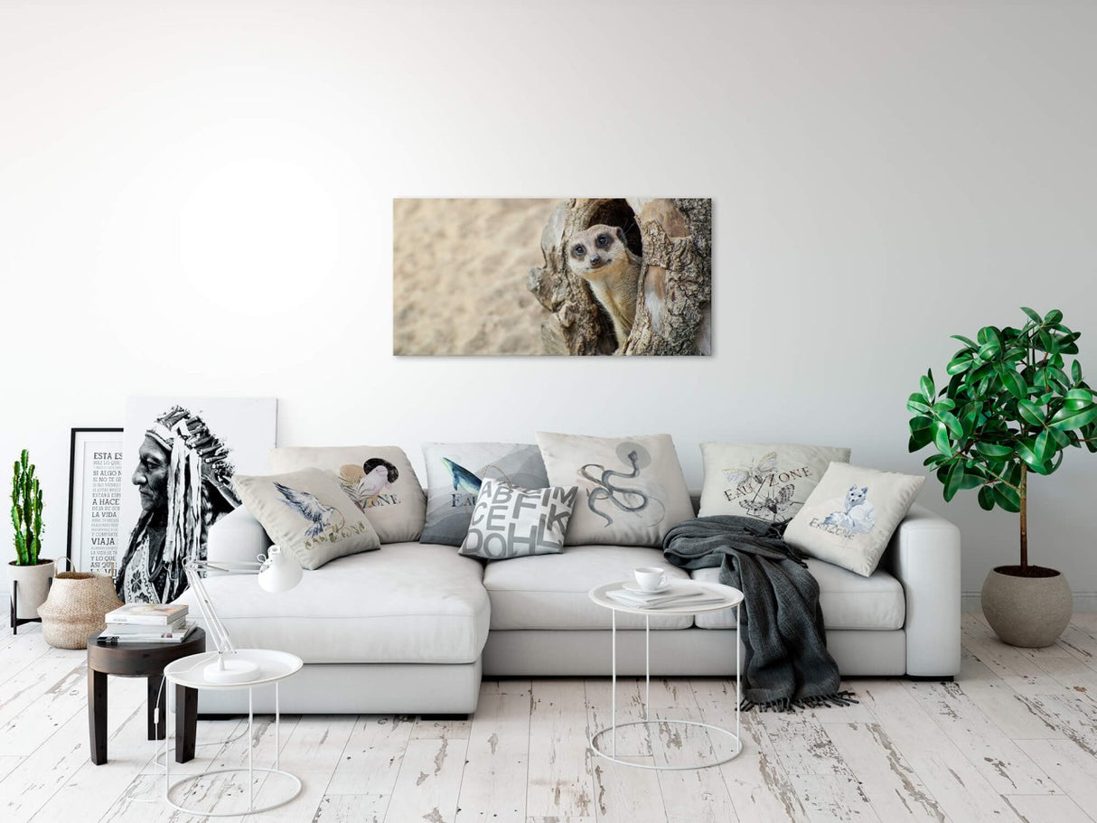 shutterstock_1238361604x7nZoZ7EH8mhp_1280x1280.jpg