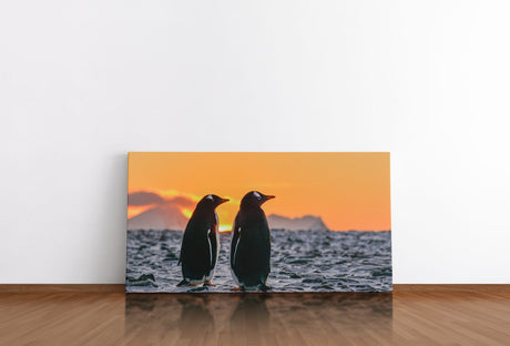 shutterstock_1246202980mdUnPGgvWey0s_1280x1280.jpg
