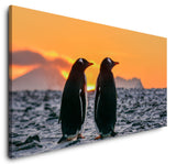 shutterstock_1246202980sGxjkVxBFEHgR_1280x1280.jpg