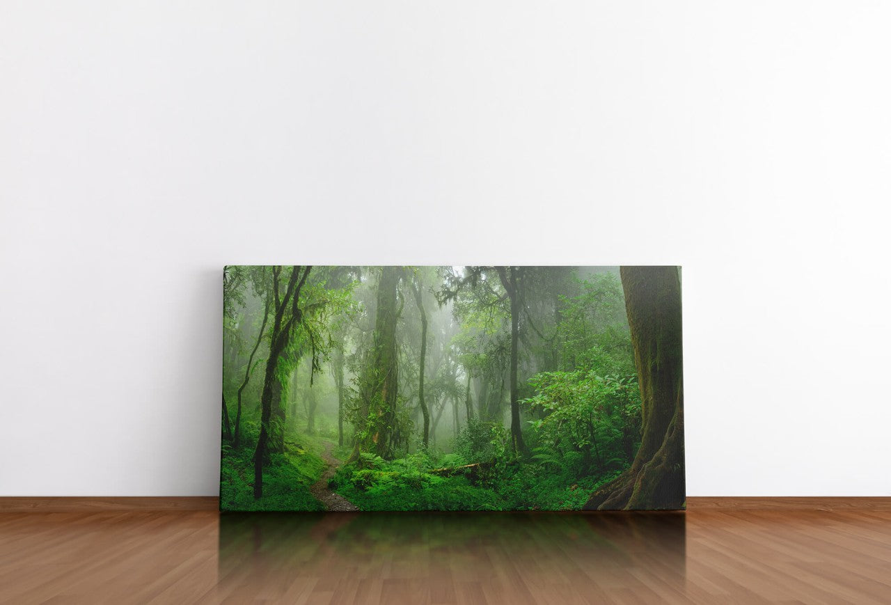 shutterstock_1254588805BsvjHCWuWWlC3_1280x1280.jpg