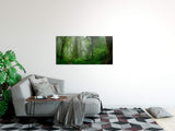 shutterstock_1254588805XnnGkEaKO0pDa_1280x1280.jpg