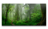 shutterstock_1254588805_1280x1280.jpg