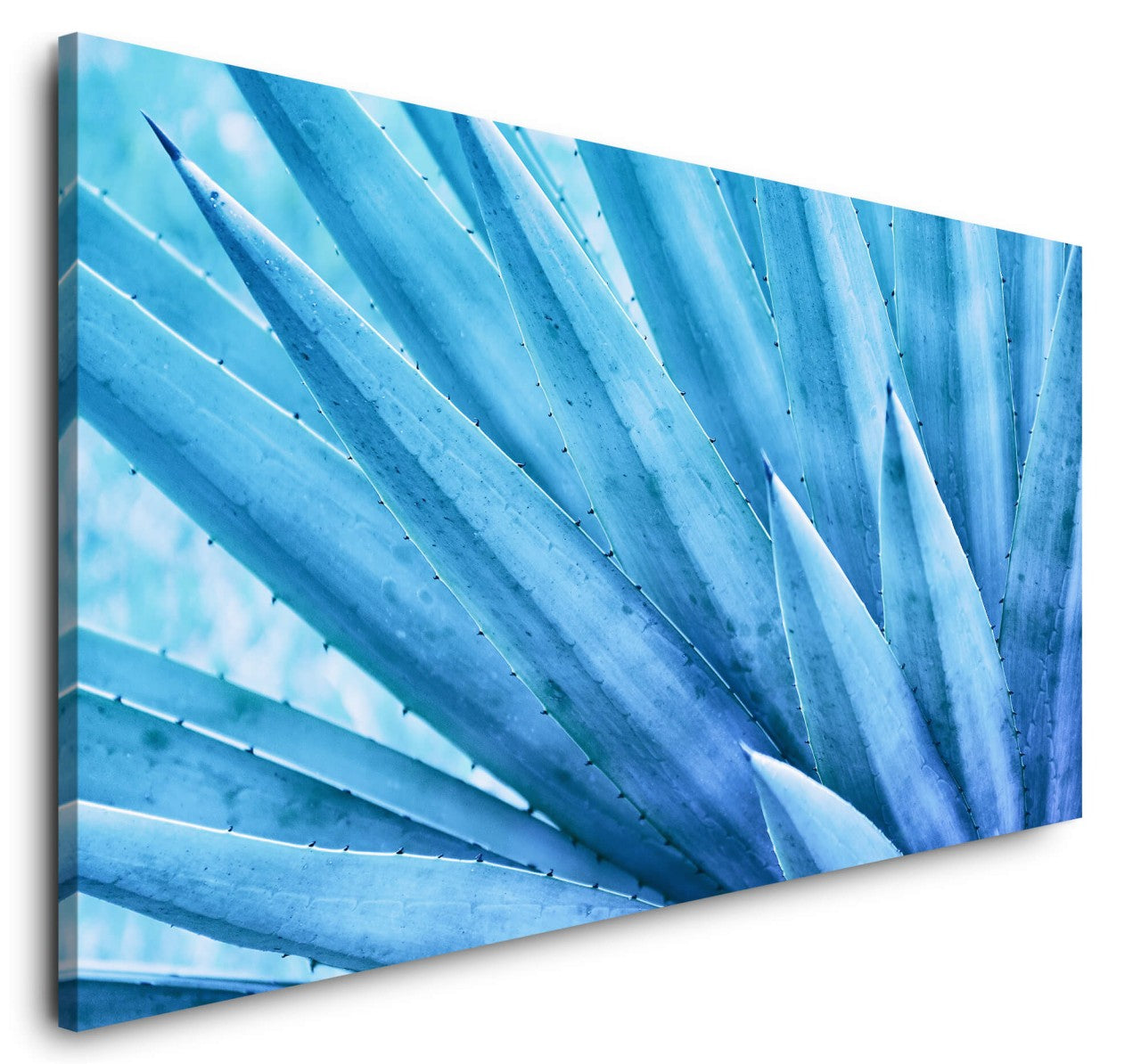 shutterstock_12559448149KtlhNn0wygCz_1280x1280.jpg