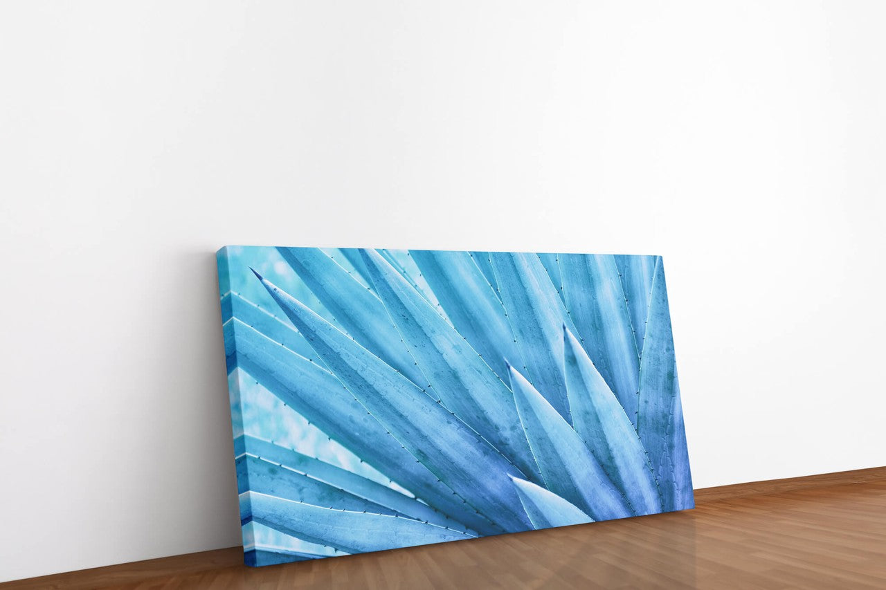 shutterstock_1255944814E4cuuMgnPU1sa_1280x1280.jpg