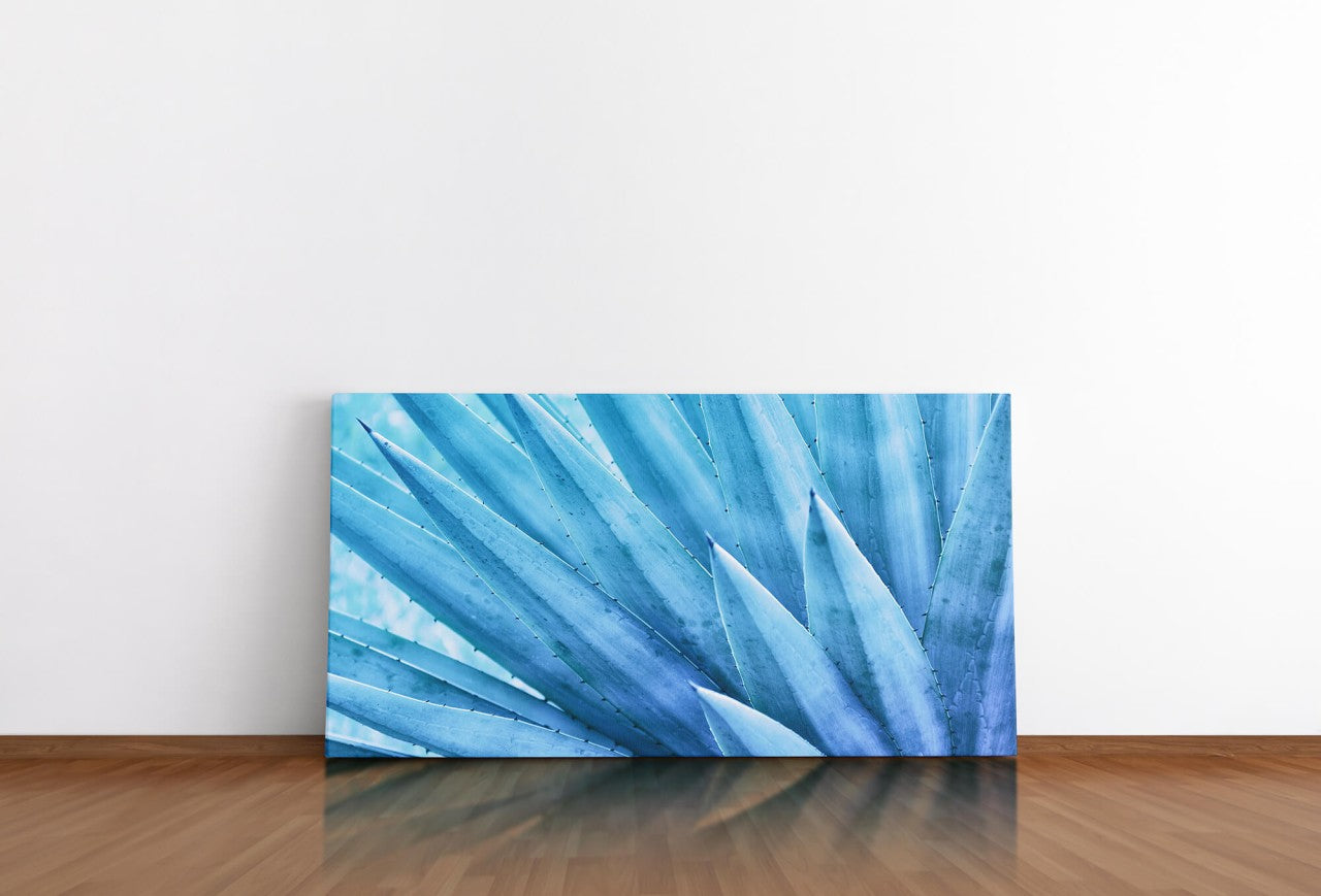 shutterstock_1255944814mvkMIAB6VqXAE_1280x1280.jpg