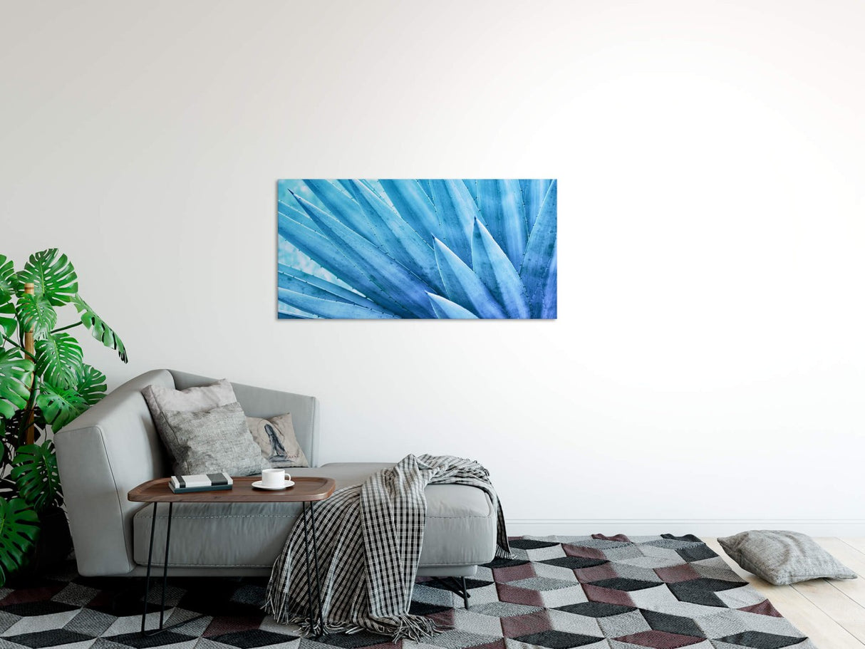 shutterstock_1255944814uj4vrocV2Bi0F_1280x1280.jpg