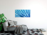 shutterstock_1255944814uj4vrocV2Bi0F_1280x1280.jpg