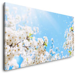 shutterstock_1274206996BVRvKsb7dvAFg_1280x1280.jpg