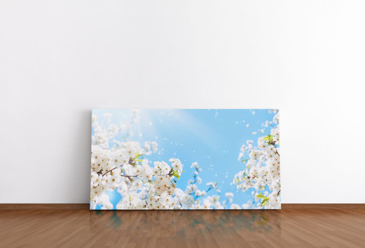 shutterstock_1274206996QkOvRHW3zRsbh_1280x1280.jpg