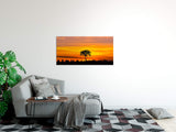 shutterstock_1278215509LNHBdHzxtXqE4_1280x1280.jpg