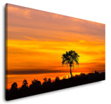 shutterstock_1278215509mmN4wLXn1ZykK_1280x1280.jpg