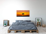 shutterstock_1278215509vMOF9pLQyO2T7_1280x1280.jpg