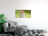 shutterstock_1290320698gx55U0FjTggB3_1280x1280.jpg