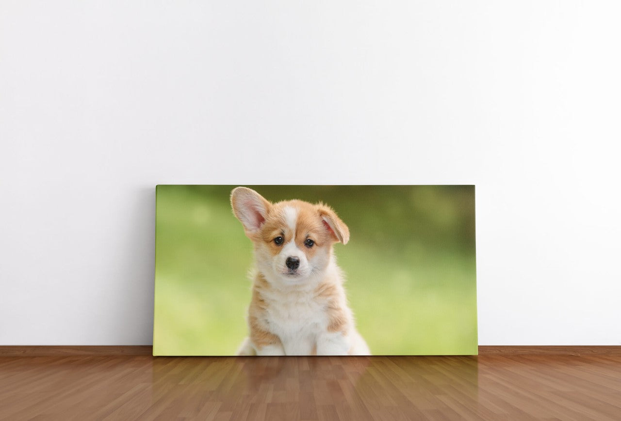 shutterstock_1290320698lyGZzQMNsiBJ9_1280x1280.jpg
