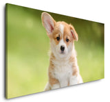 shutterstock_1290320698mc9J7YgNuBP3R_1280x1280.jpg