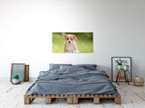 shutterstock_1290320698sxAflk6SVlq03_1280x1280.jpg