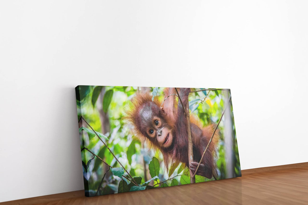 shutterstock_1298975908BosNgutKbtZlg_1280x1280.jpg