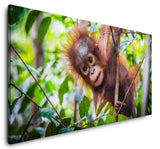 shutterstock_1298975908ecP9vx6CCTcqv_1280x1280.jpg