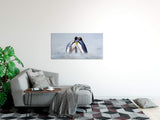 shutterstock_1303269490Ha2Q0PG7LwRkH_1280x1280.jpg