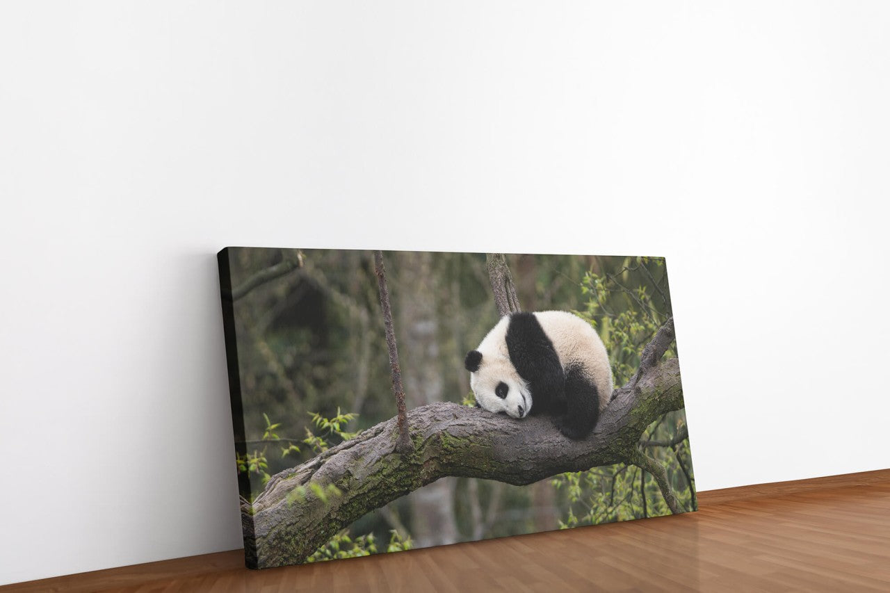 shutterstock_1312590458QZ490QxOu7RBZ_1280x1280.jpg
