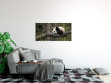 shutterstock_1312590458zCiU3Qk9xjTa5_1280x1280.jpg