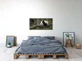 shutterstock_1312590458zYjXe4Qp7uMMa_1280x1280.jpg