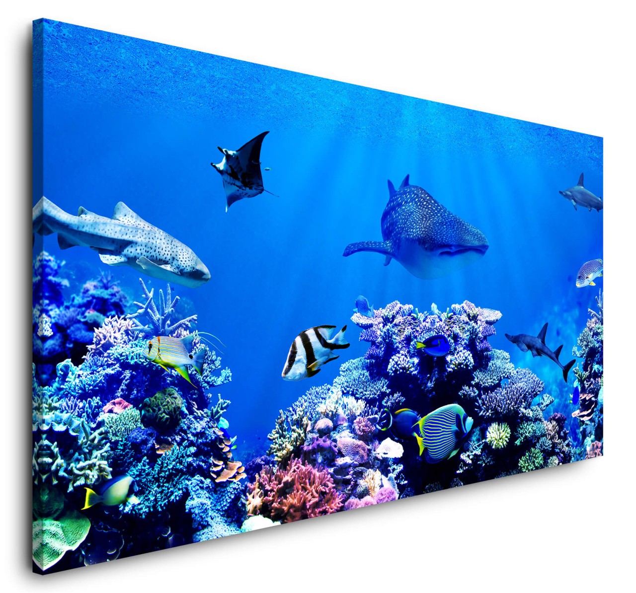 shutterstock_1314375482Nn29SoI0DfXwf_1280x1280.jpg